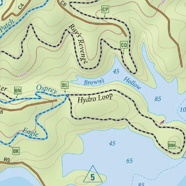 Raystown Lizard Map, Pennsylvania