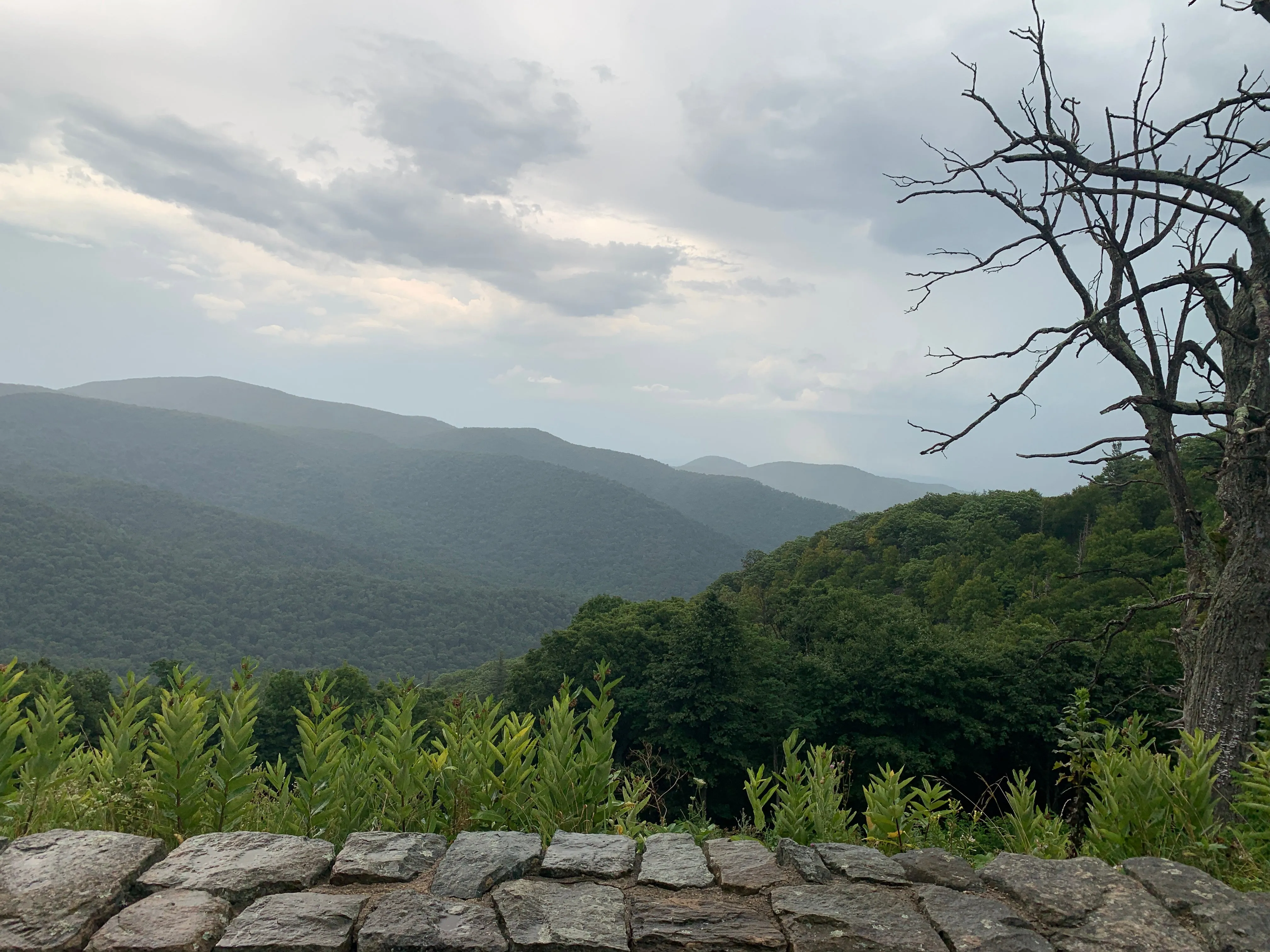 Shenandoah National Park Lizard Maps, Virginia