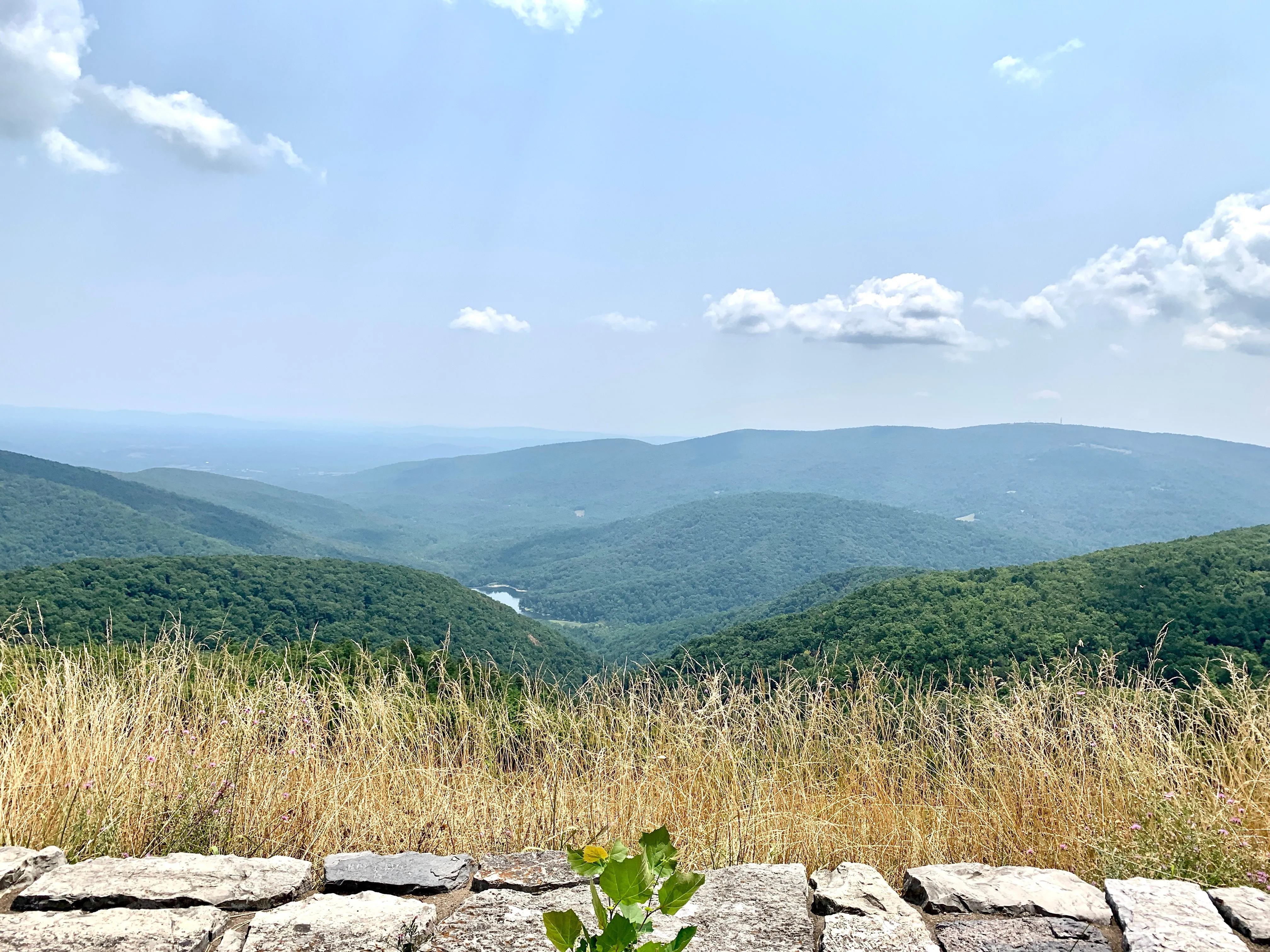 Shenandoah National Park Lizard Maps, Virginia