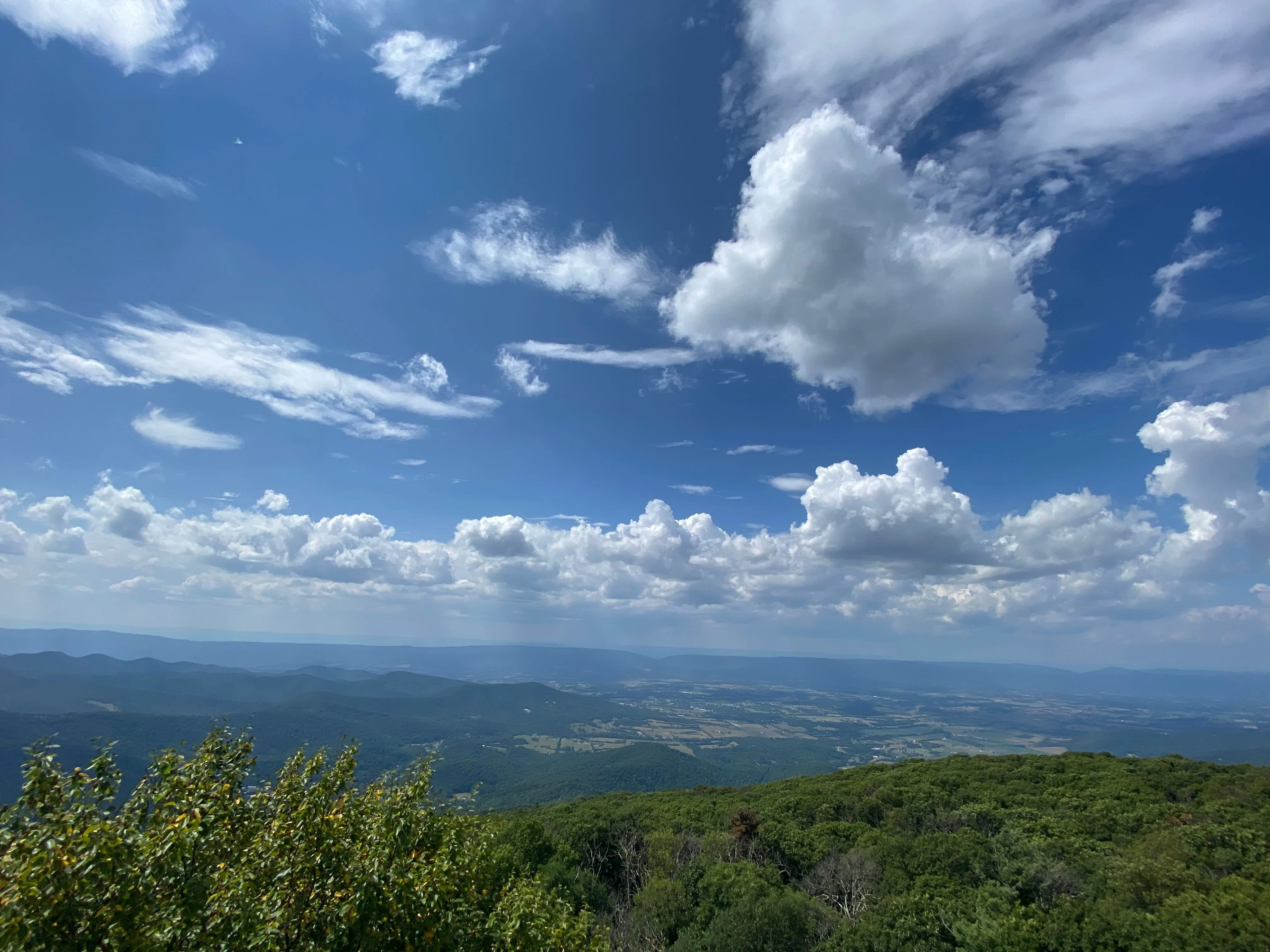 Shenandoah National Park Lizard Maps, Virginia