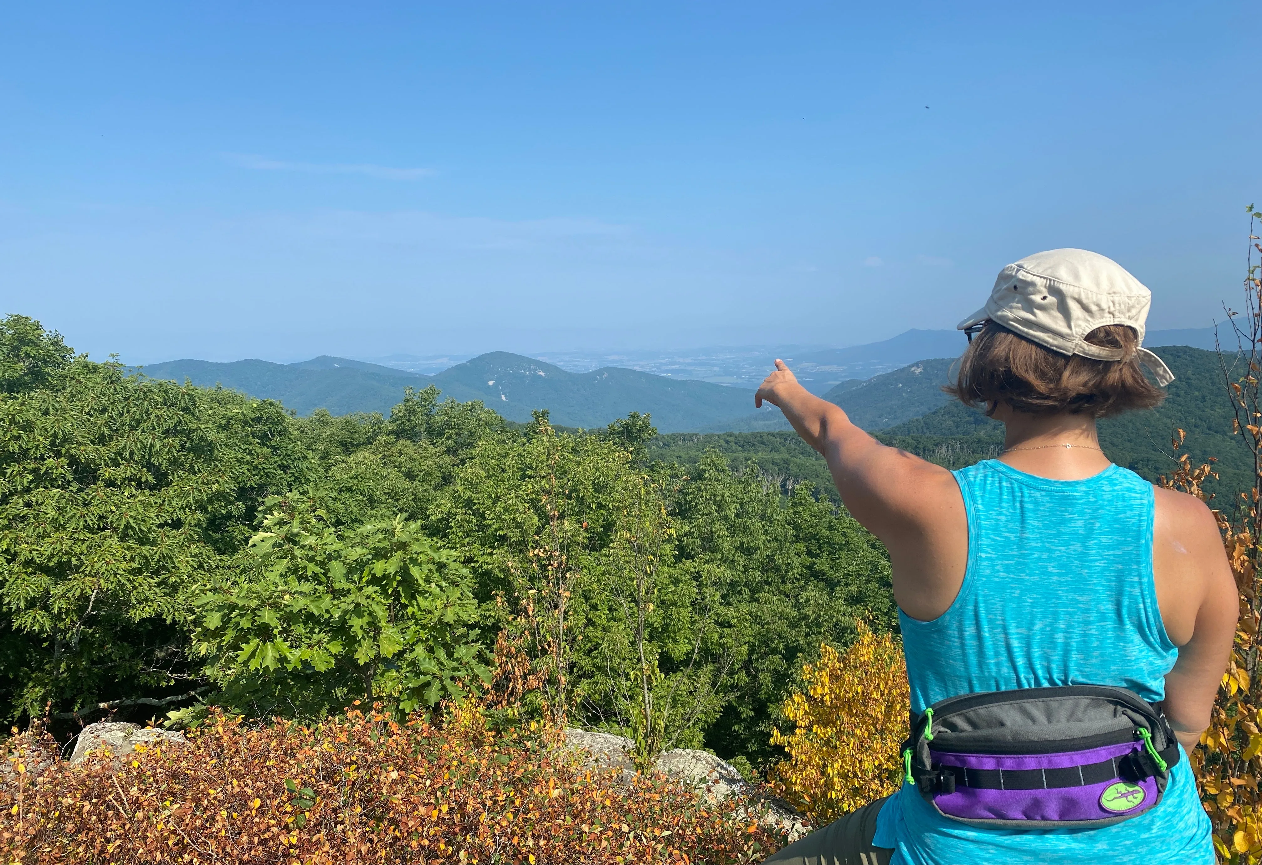 Shenandoah National Park Lizard Maps, Virginia