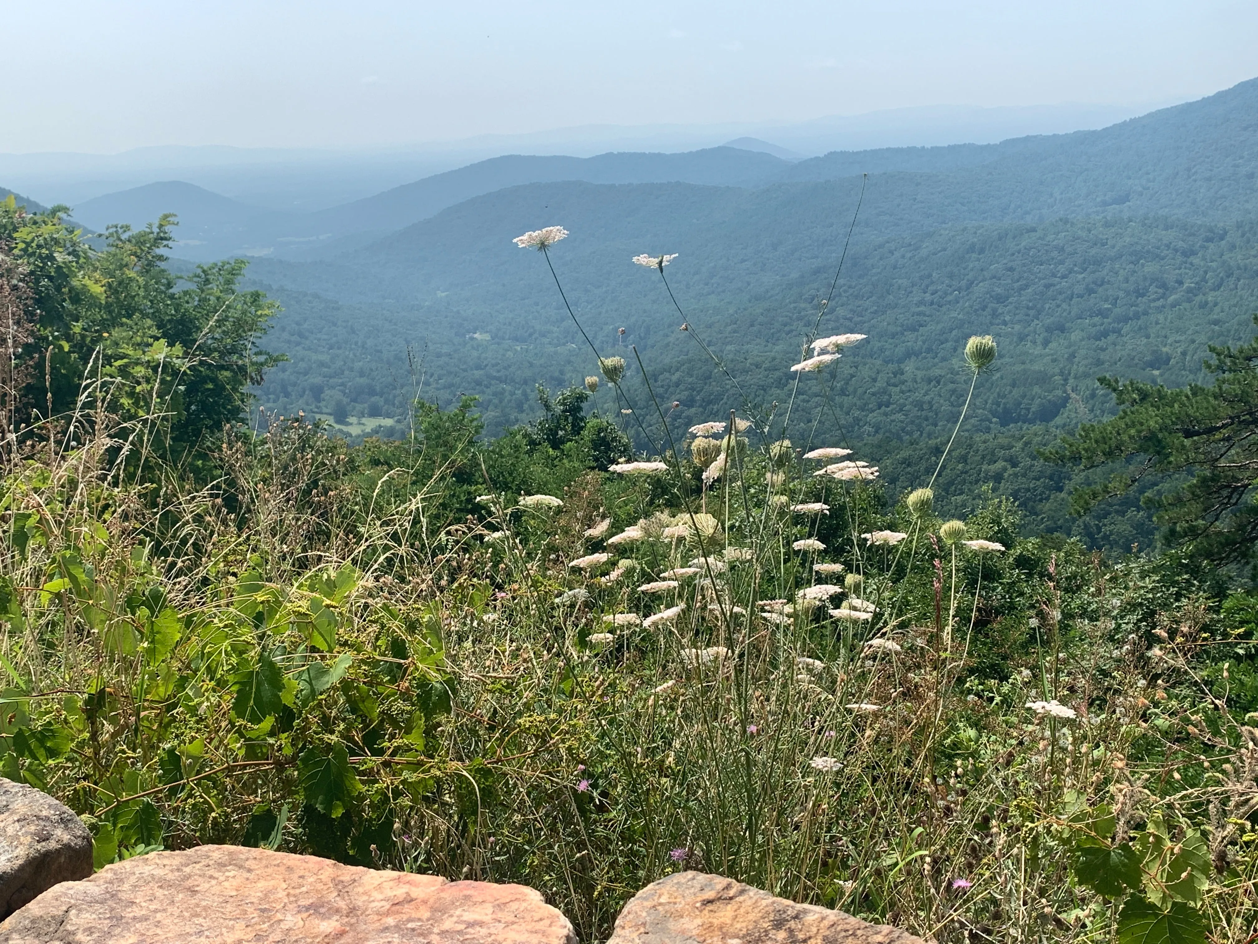 Shenandoah National Park Lizard Maps, Virginia